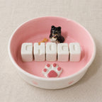Ceramic custom pet bowl for dogs and cats personalized with name