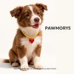 Brown and white puppy wearing the PAWMORYS yellow bead necklace with a red heart pendant