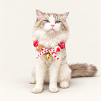 Christmas Pom-Pom Pet Necklace & Tree Ornament
