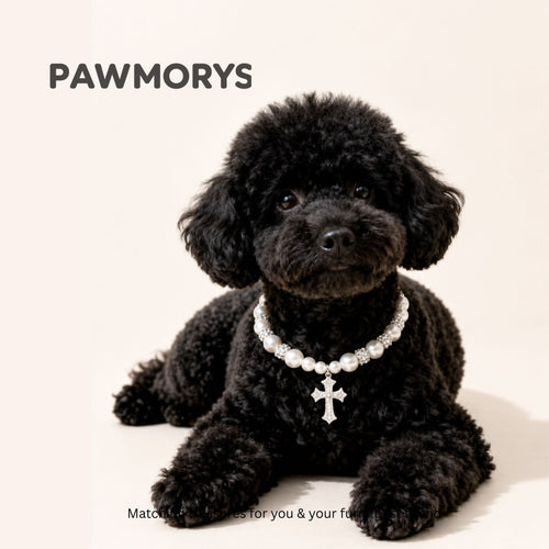 Ballerina Matching Pearl Necklaces for Pets & Owners