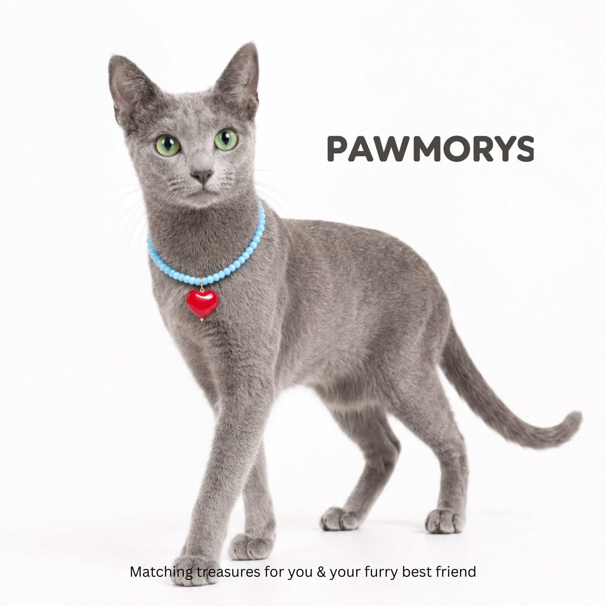 Gray cat wearing the sky-blue American Sweetheart pet necklace with a red heart pendant