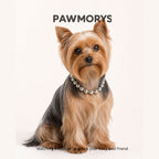 Pittsburgh Bubbles Matching Necklaces for Pets & Owners | Pawmorys