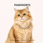Pittsburgh Bubbles Matching Necklaces for Pets & Owners | Pawmorys