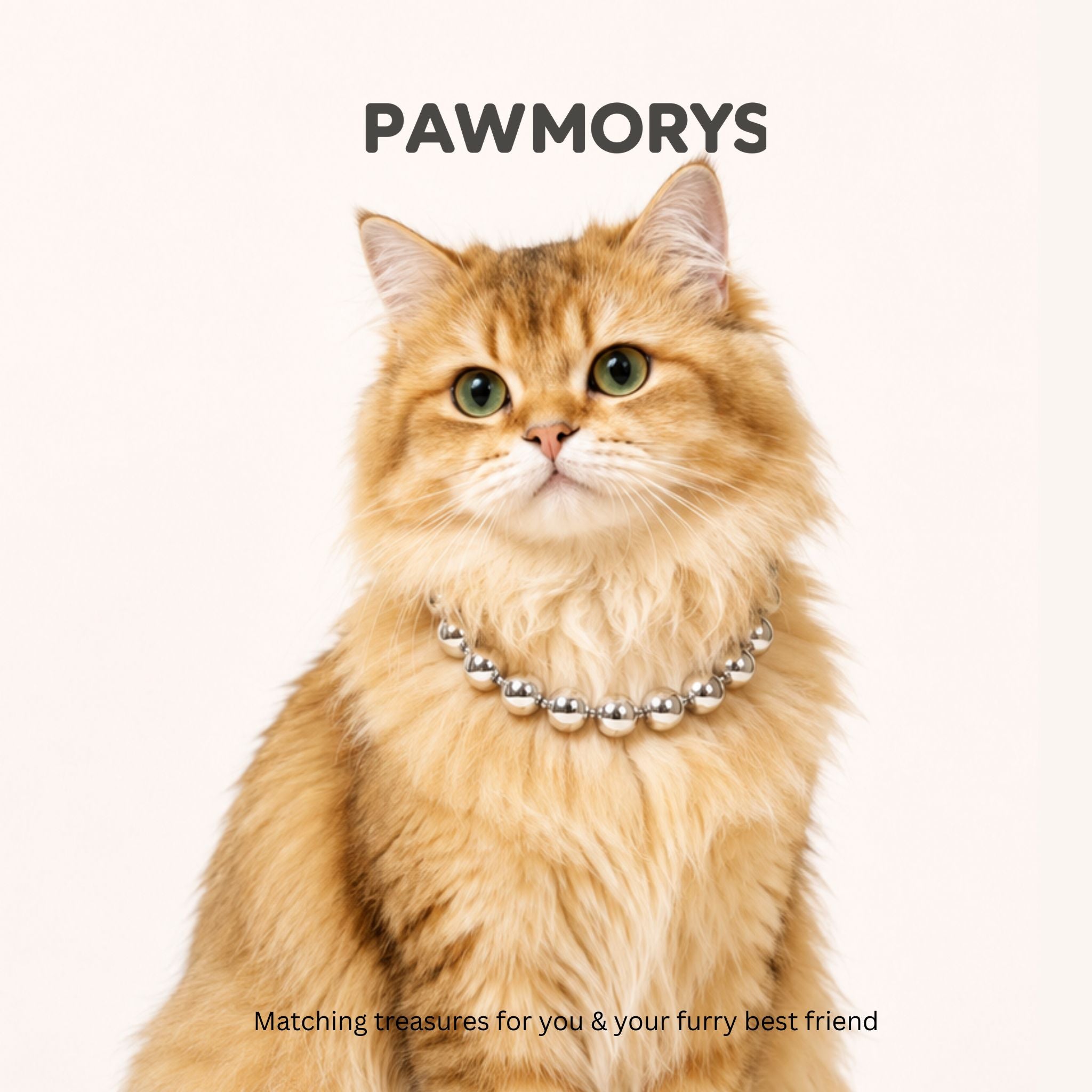 Pittsburgh Bubbles Matching Necklaces for Pets & Owners | Pawmorys