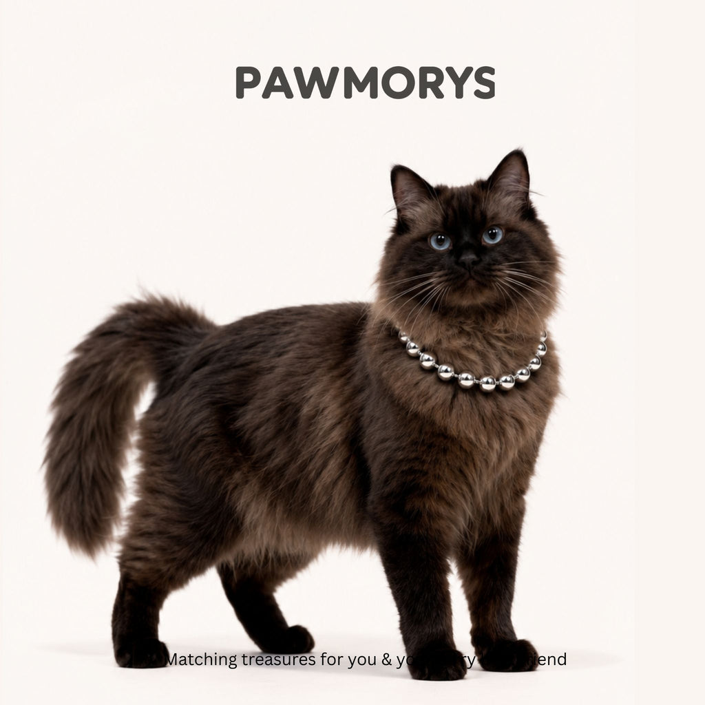 Pittsburgh Bubbles Matching Necklaces for Pets & Owners | Pawmorys