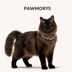 Pittsburgh Bubbles Matching Necklaces for Pets & Owners | Pawmorys
