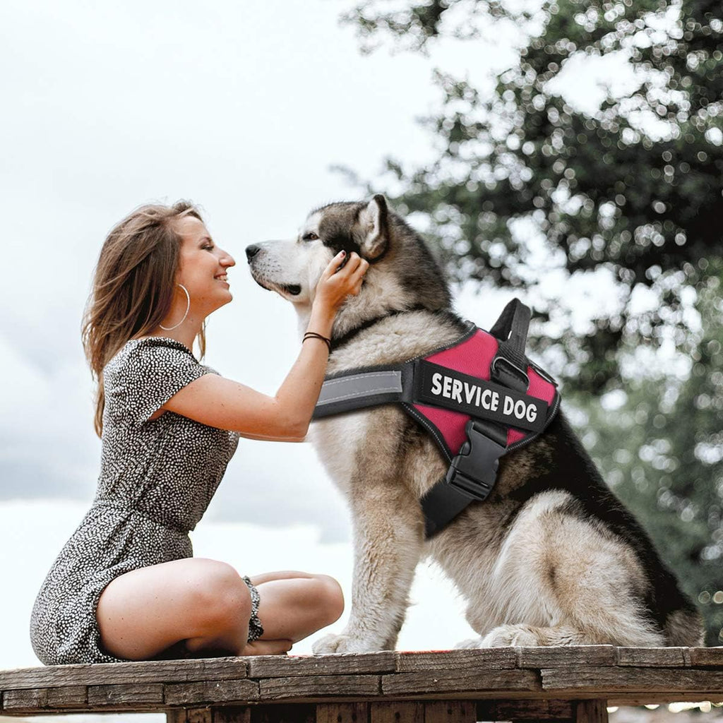 Dog Harness, No Pull Easy On and Off Pet Vest Harness, 3M Reflective Breathable & Easy Adjust Pet Halters with Nylon Handle - No More Tugging or Choking for Small Medium Large Dogs