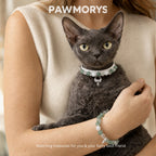 Forest Whisper Matching Green Aventurine Pet Collar & Owner Bracelet