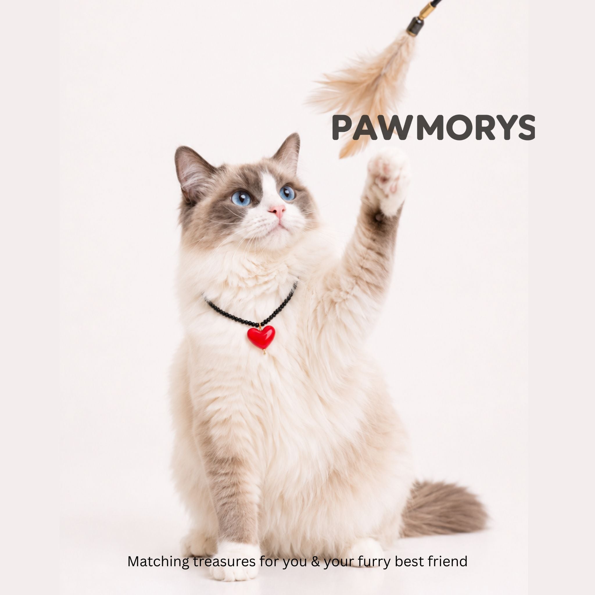 Ragdoll cat wearing a black bead necklace with a glossy red heart pendant