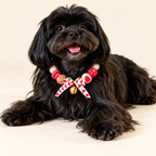 Christmas Pom-Pom Pet Necklace & Tree Ornament