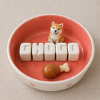 Ceramic custom pet bowl for dogs and cats personalized with name