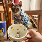 Personalized pet mug used for coffee with handmade ceramic cat design