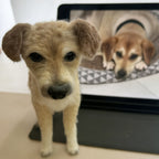 Custom Realistic Pet Replica Sculpture – Handmade 3D Wool Pet Portrait