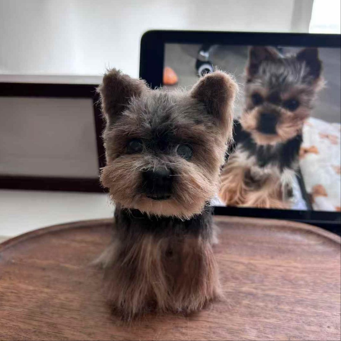 Custom realistic 3D wool pet replica sculpture made from a Yorkshire Terrier photo