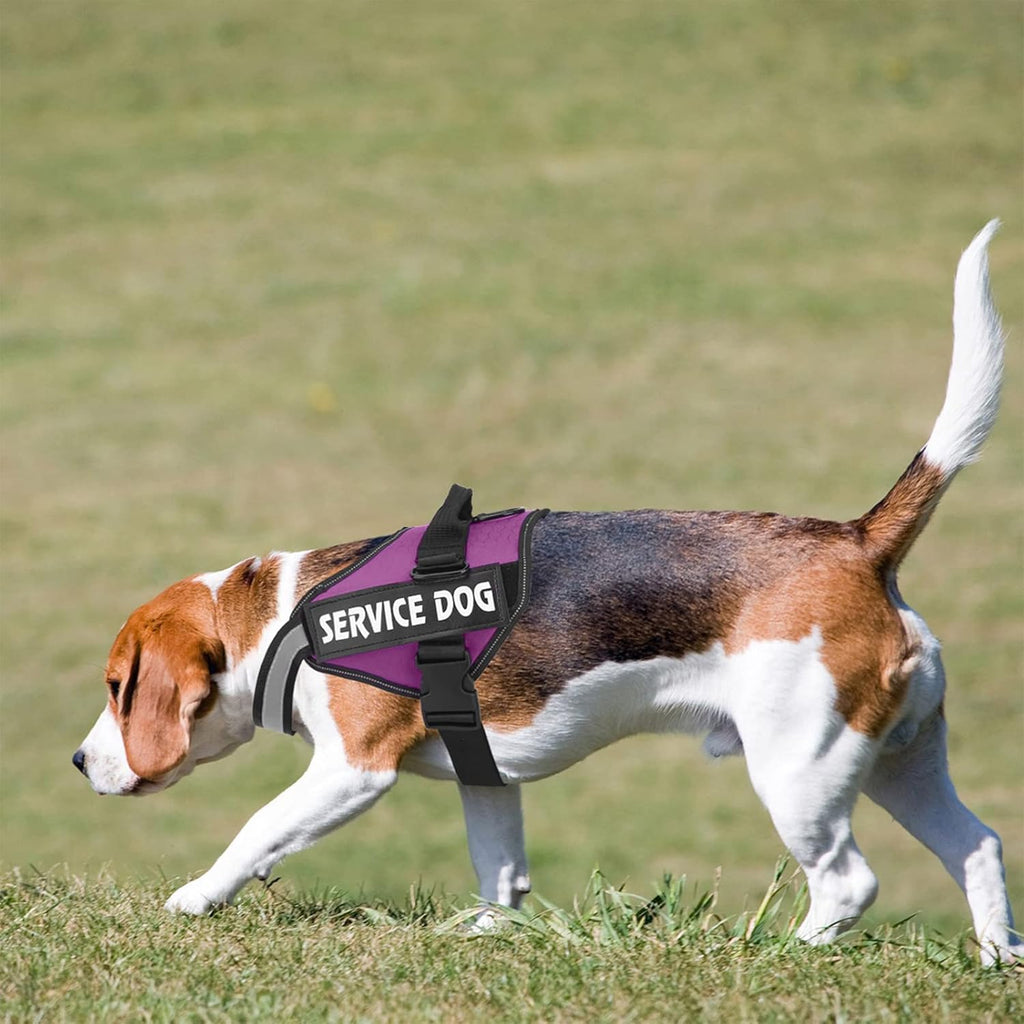 Dog Harness, No Pull Easy On and Off Pet Vest Harness, 3M Reflective Breathable & Easy Adjust Pet Halters with Nylon Handle - No More Tugging or Choking for Small Medium Large Dogs